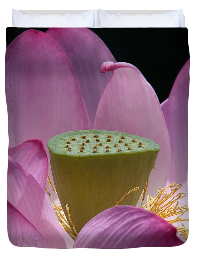 Nature Duvet Cover featuring the photograph Lotus--Center of Being iv DL071 by Gerry Gantt