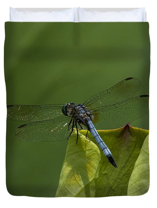 Nature Duvet Cover featuring the photograph Lotus Leaf and Blue Dasher Dragonfly DL058 by Gerry Gantt