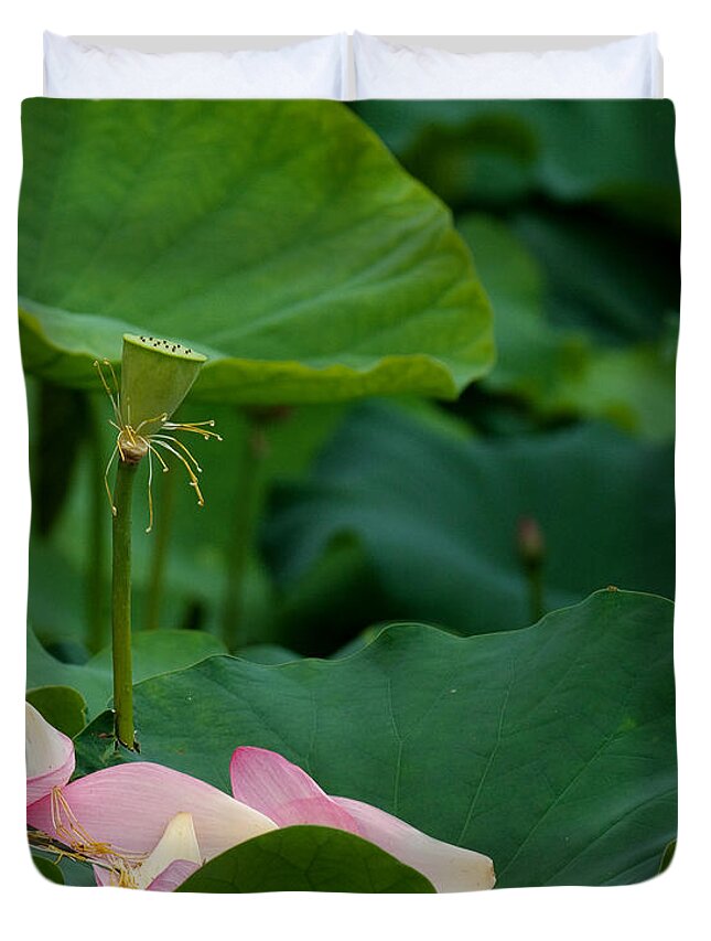 Nature Duvet Cover featuring the photograph Lotus Leaf-Castoff ii DL077 by Gerry Gantt