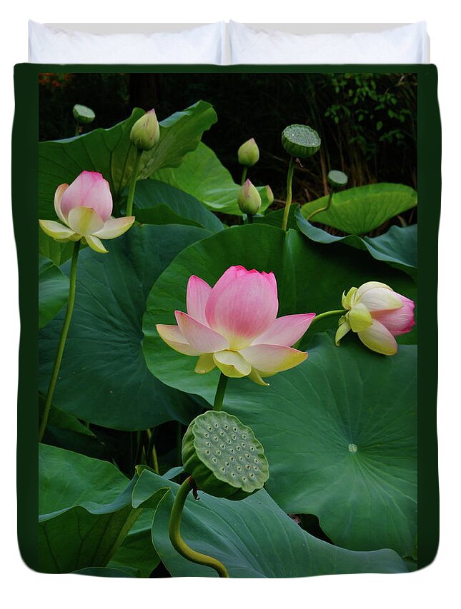 Lotus Duvet Cover featuring the photograph Lotus Pond View A by Byron Varvarigos