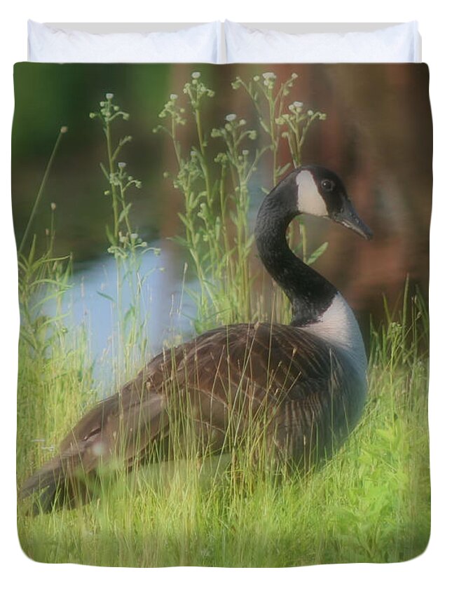 Canada Goose Duvet Cover featuring the photograph Lovely Lady Canada Goose by Smilin Eyes Treasures