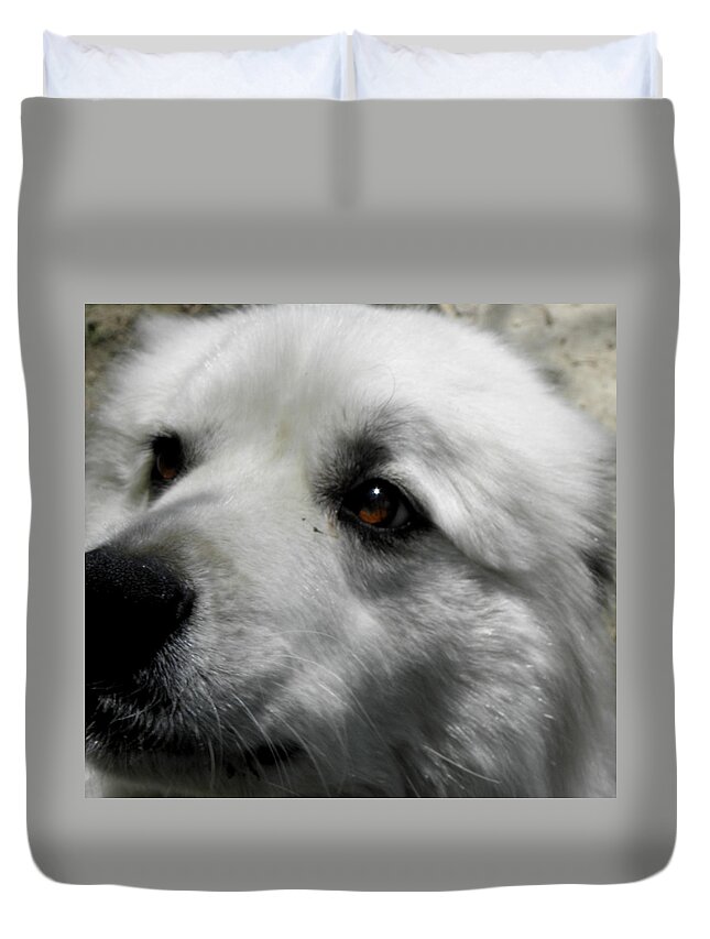 Great Pyrenees Duvet Cover featuring the photograph Loving eyes and Face by Kim Galluzzo