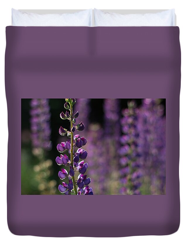 Canada Duvet Cover featuring the photograph Lupines by Jakub Sisak