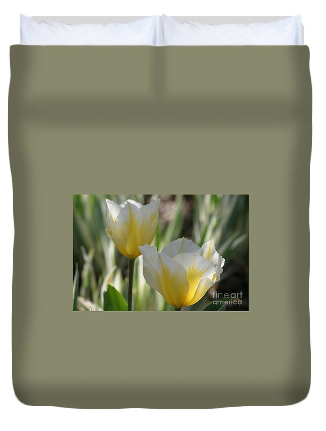 Tulips Duvet Cover featuring the photograph Magical Morning by Living Color Photography Lorraine Lynch