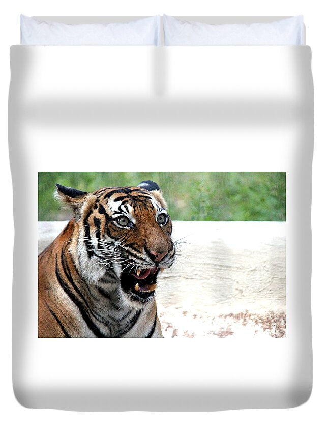 Tigers Duvet Cover featuring the photograph Make My Day by Kathy White
