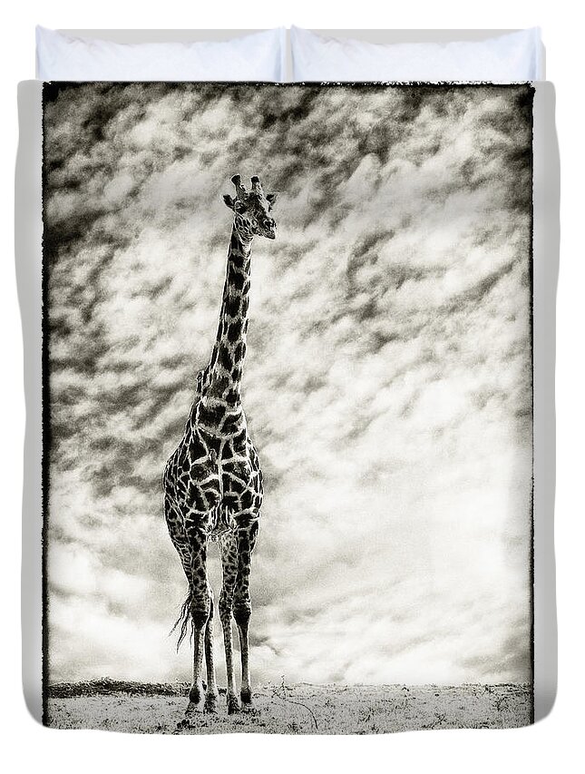 Africa Duvet Cover featuring the photograph Male Giraffe by Perla Copernik