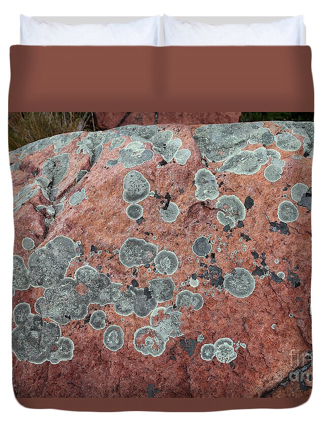 Map Lichen Duvet Cover featuring the photograph Map Lichen by Ted Kinsman