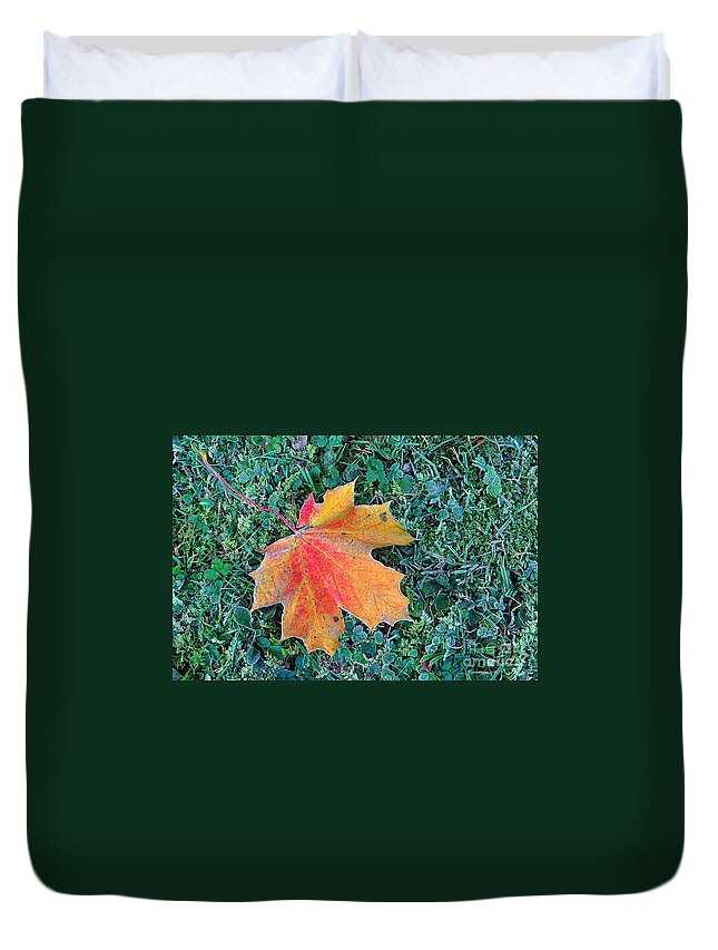 Autumn Duvet Cover featuring the photograph Maple Leaf by Hannes Cmarits