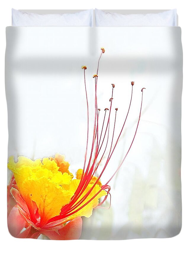 Floral Duvet Cover featuring the photograph Mexican Bird of Paradise by Kume Bryant
