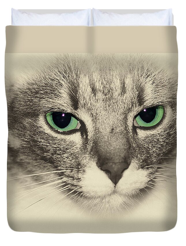 Cats Duvet Cover featuring the photograph Milo by Andrew Hewett
