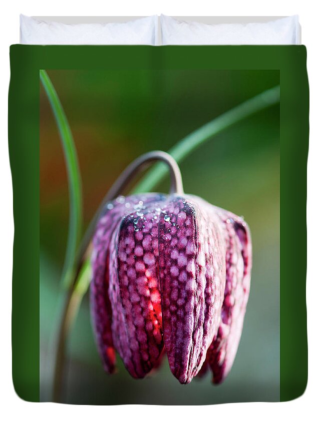 Fritillaries Duvet Cover featuring the photograph Missionbell by Rob Hemphill
