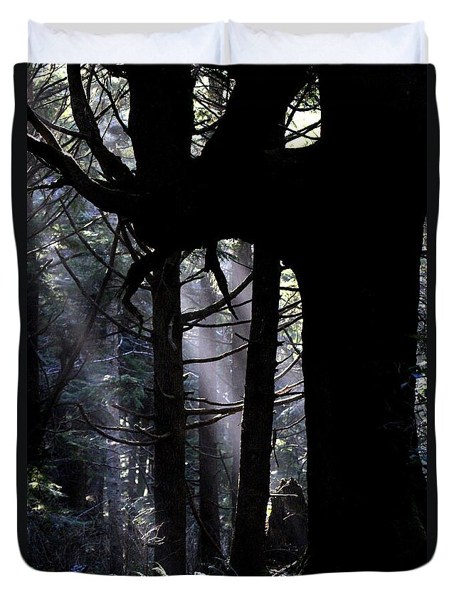 Forest Duvet Cover featuring the photograph Misty Light at Second Beach by Marie Jamieson