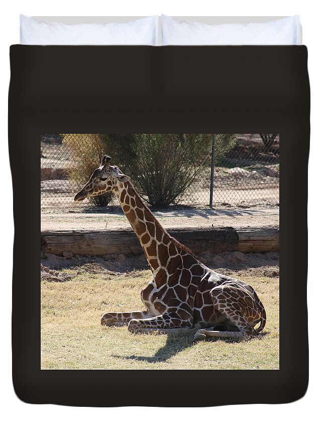 Giraffe Duvet Cover featuring the photograph Mommy taking a break by Kim Galluzzo
