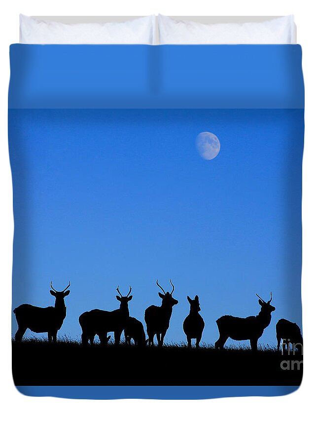 Elk Duvet Cover featuring the photograph Moonlighting by Alyce Taylor