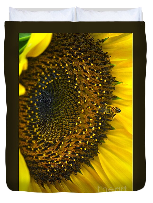 Sunflower Duvet Cover featuring the photograph Morning Is The Best by Gwyn Newcombe
