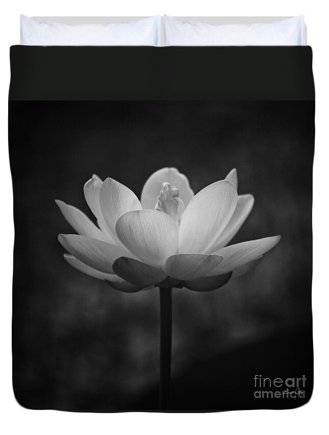 Black & White Duvet Cover featuring the photograph Morning Lotus by Scott Pellegrin