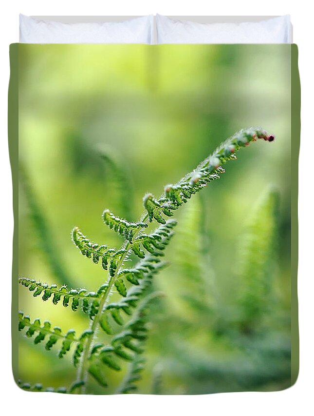 Fern Duvet Cover featuring the photograph Mountain Fern by Lois Bryan