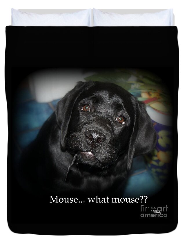 Dog Duvet Cover featuring the photograph Mouse---What Mouse by Patrick Witz