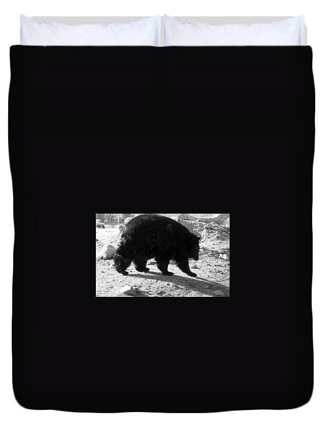 Black Duvet Cover featuring the photograph Mrs Black Bear by Kim Galluzzo Wozniak