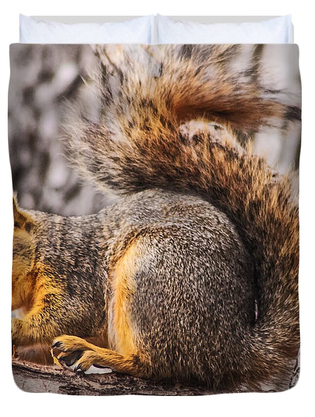 Squirrel Duvet Cover featuring the photograph My Nut by Robert Bales