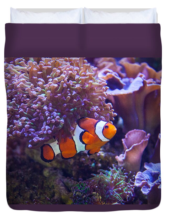 Fish Duvet Cover featuring the photograph Nemo by Ralf Kaiser
