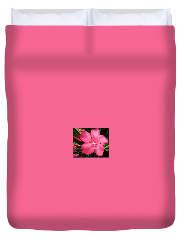 Pink Duvet Cover featuring the photograph Nerium Oleander Pink by Kim Galluzzo
