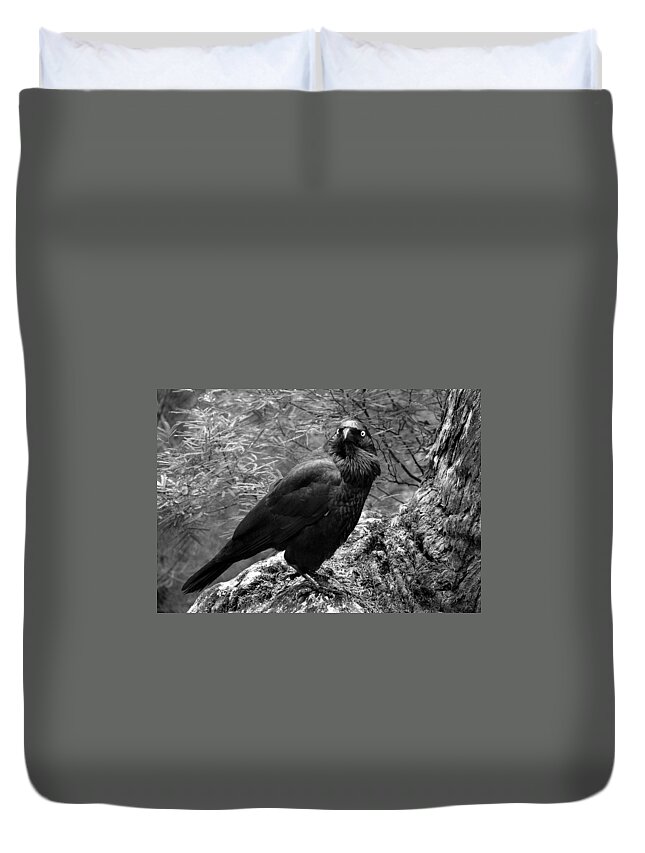 Raven Duvet Cover featuring the photograph Nevermore - Black and White by Michelle Wrighton