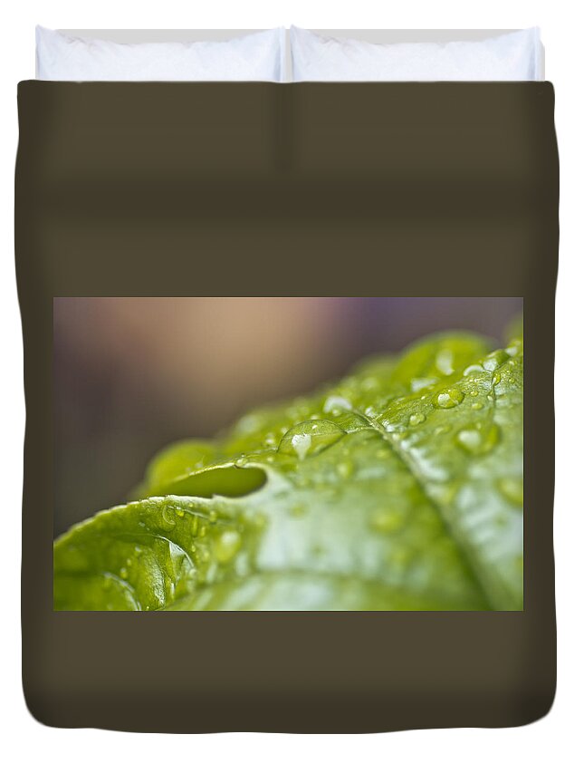 Leaf Duvet Cover featuring the photograph New Beginnings by Priya Ghose