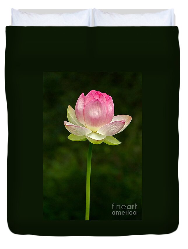 Lotus Duvet Cover featuring the photograph No Less Magical by Byron Varvarigos