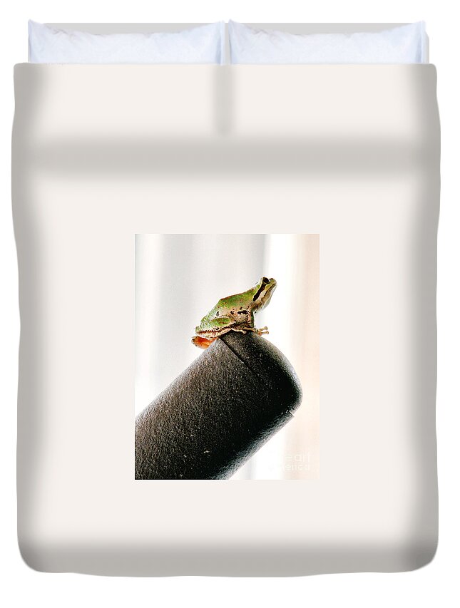 Frog Duvet Cover featuring the photograph Now What? by Rory Siegel