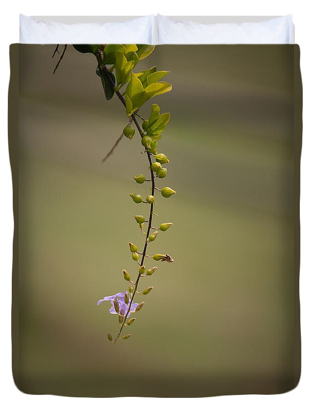 Offering Duvet Cover featuring the photograph Offering by SAURAVphoto Online Store