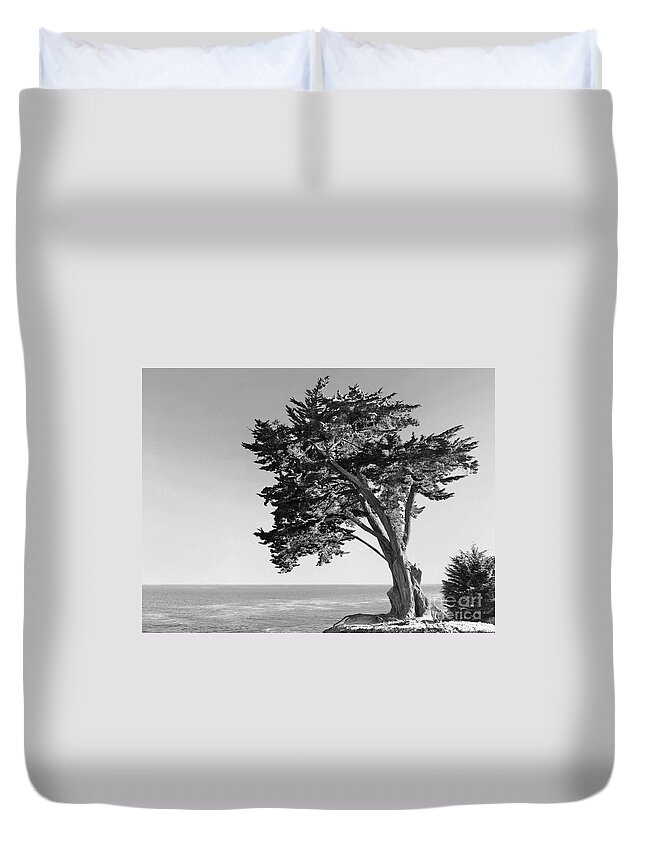 Tree Duvet Cover featuring the photograph Old Growth by Paul Topp