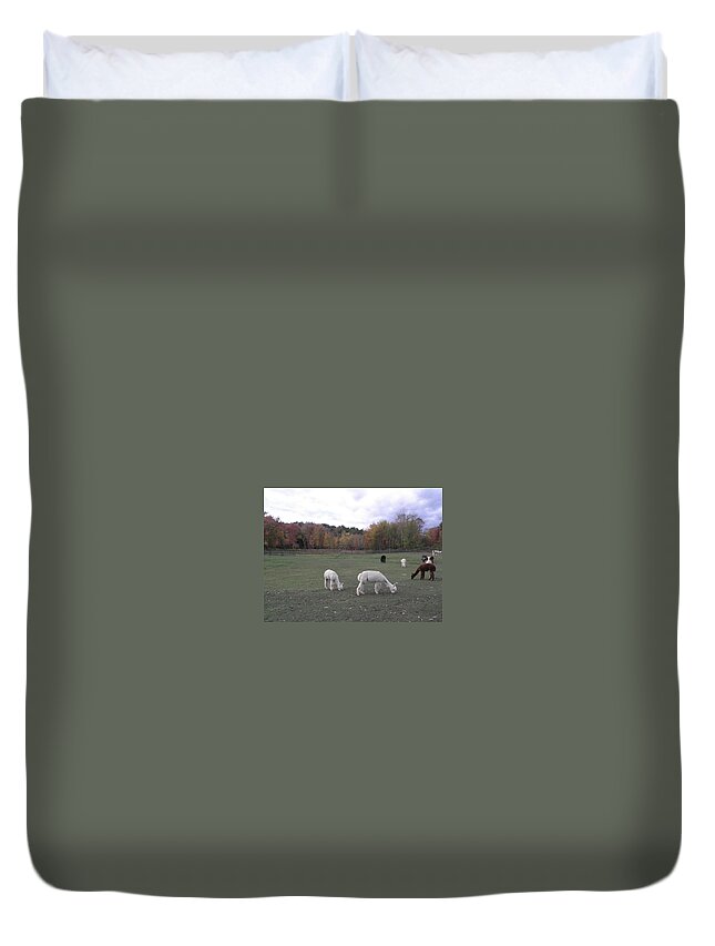 Alpaca Duvet Cover featuring the photograph On The Alpaca Farm by Kim Galluzzo