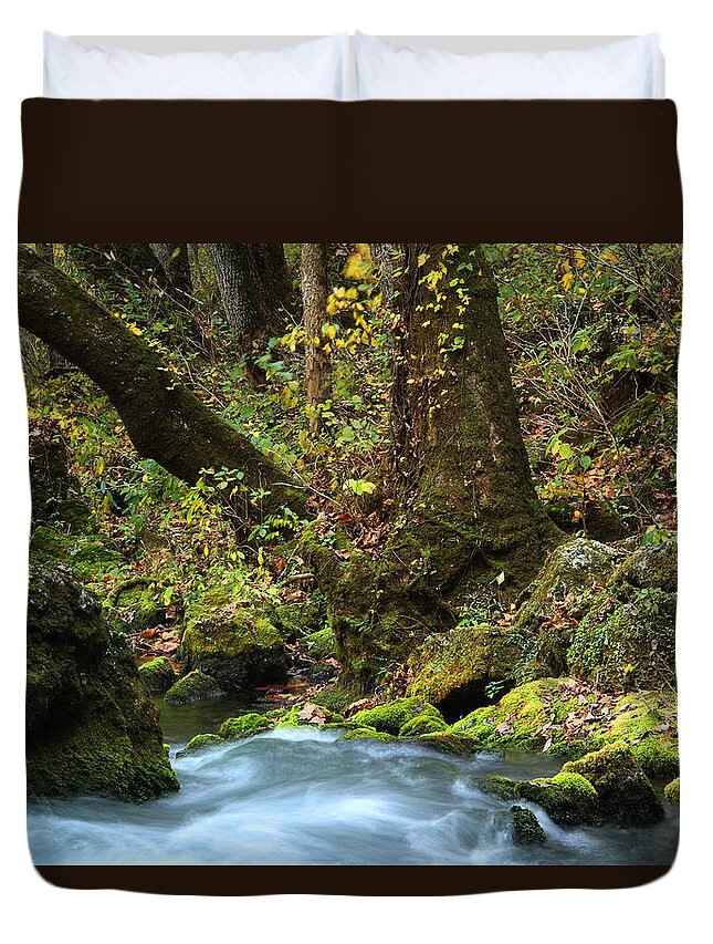 Big Spring Duvet Cover featuring the photograph On the Banks of Big Spring in the Missouri Ozarks by Greg Matchick