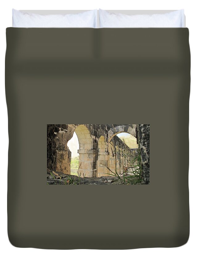Brimstone Duvet Cover featuring the photograph Once Great by Ian MacDonald