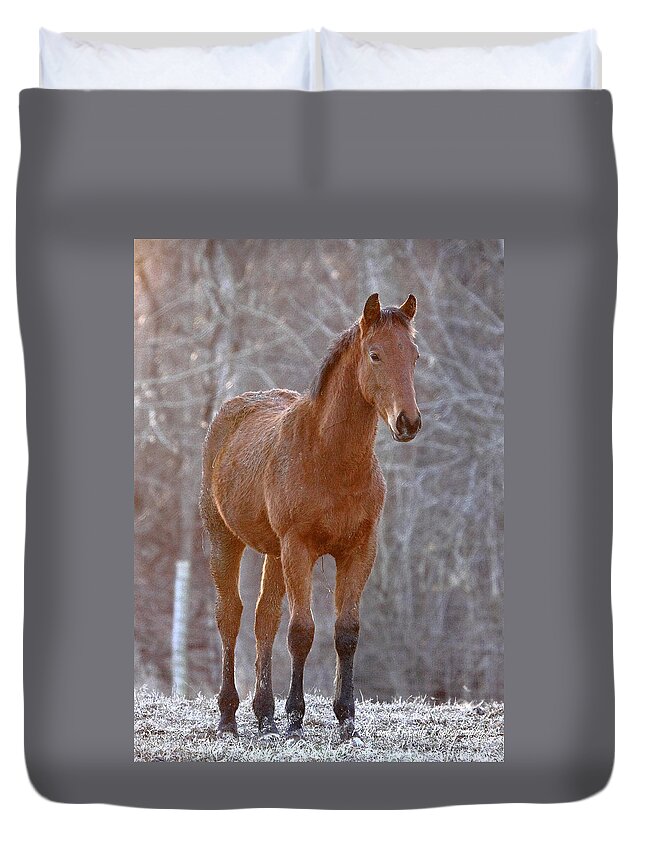  Duvet Cover featuring the photograph 'One Day I Will Race' by PJQandFriends Photography