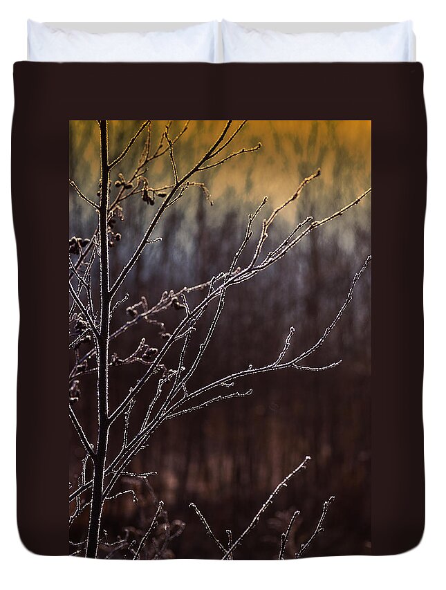 Frost Duvet Cover featuring the photograph One Frosty Morning by Sue Capuano