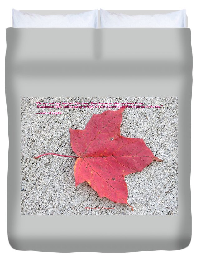 Red Fall Duvet Cover featuring the photograph One Red Leaf by Sonali Gangane