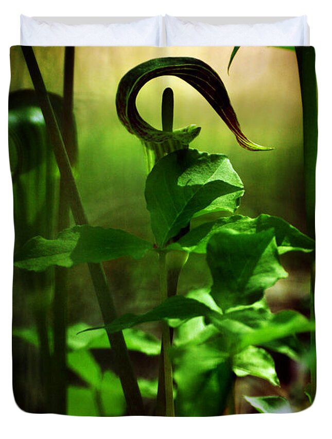 Jack In The Pulpit Duvet Cover featuring the photograph Opening and Upward by Rebecca Sherman
