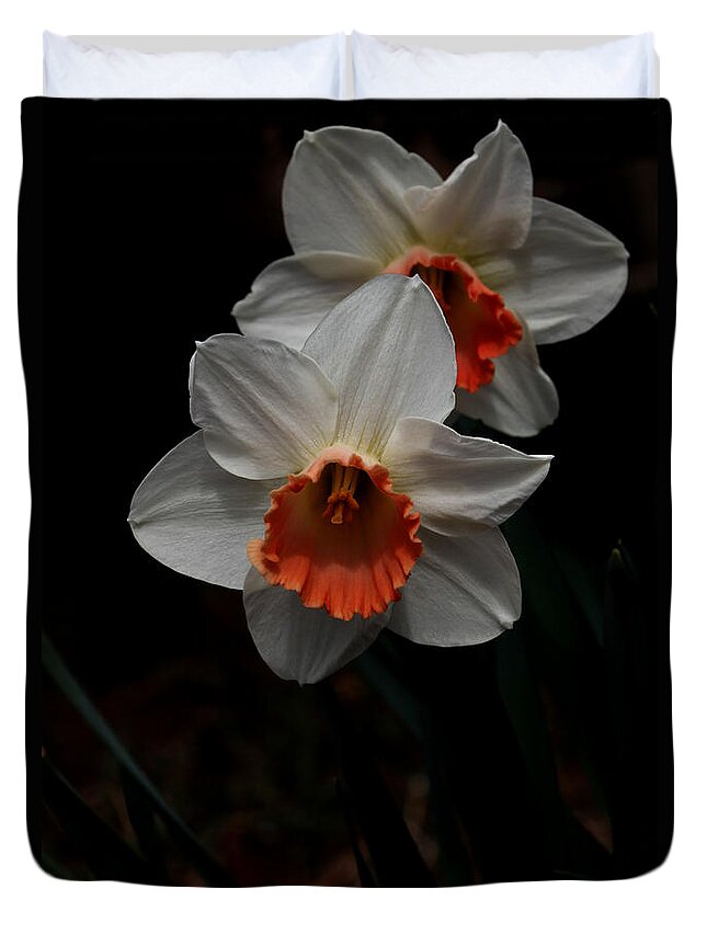 Nature Duvet Cover featuring the photograph Orange And White Daffodils - 5 by Robert Morin