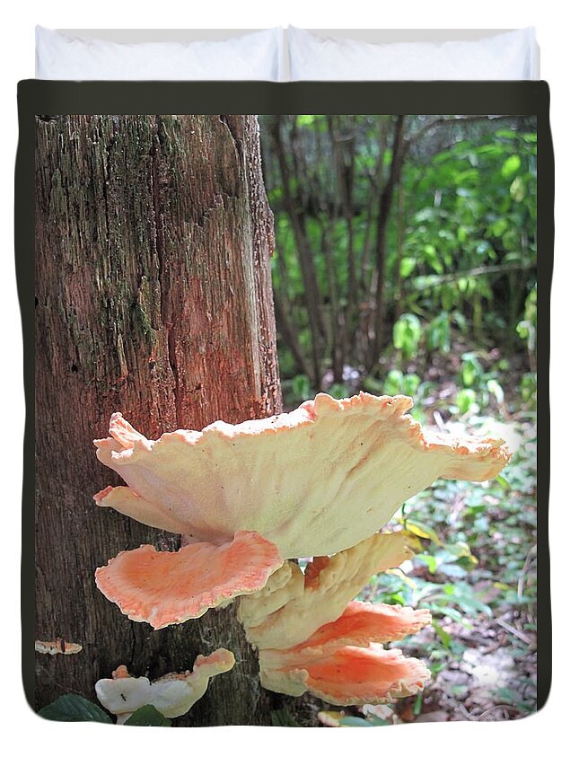  Duvet Cover featuring the photograph Orange Fungi by Michele Nelson