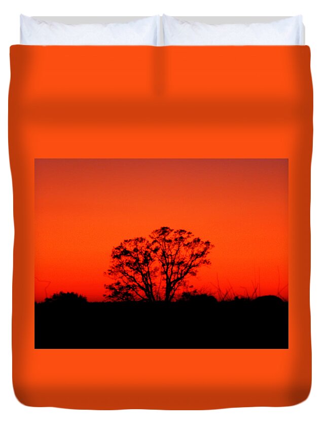 Tree Duvet Cover featuring the photograph Orange Glow by Kim Galluzzo