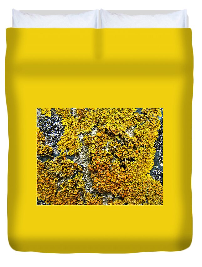 Lichen Duvet Cover featuring the photograph Orange Lichen - Xanthoria parietina by Carol Senske