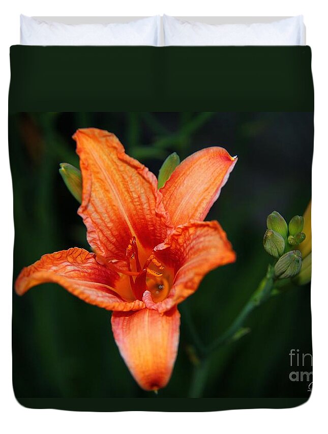 Lily Duvet Cover featuring the photograph Orange Lily by Davandra Cribbie