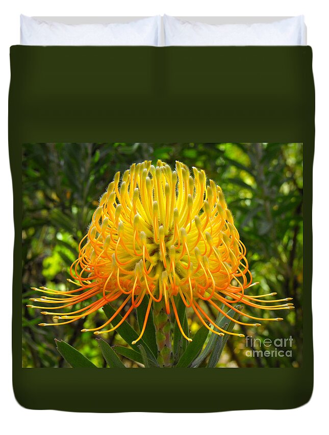 Flower Duvet Cover featuring the photograph Orange Protea Flower Art by Rebecca Margraf