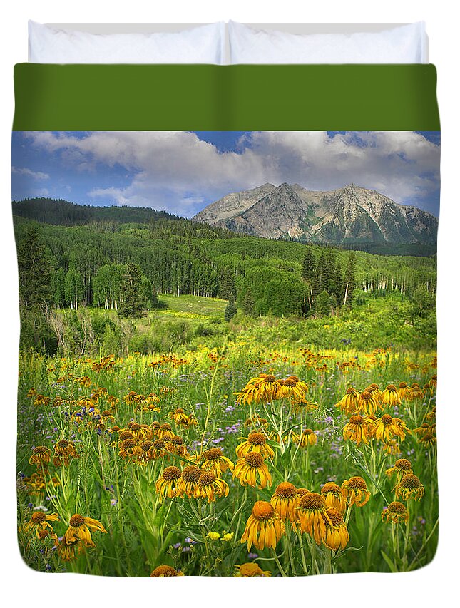 00176055 Duvet Cover featuring the photograph Orange Sneezeweed Blooming In Meadow by Tim Fitzharris