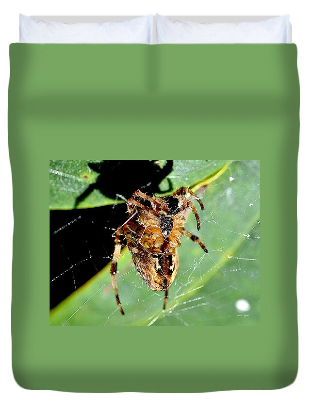 Spider Duvet Cover featuring the photograph Orb Weaver Waits by Chriss Pagani