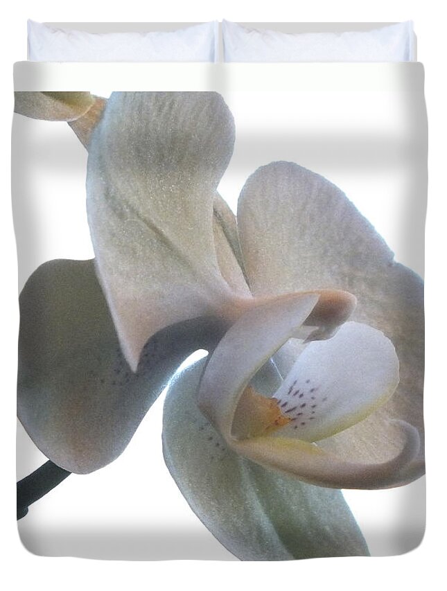 Flowers Duvet Cover featuring the photograph Orchids 1 by Mike McGlothlen