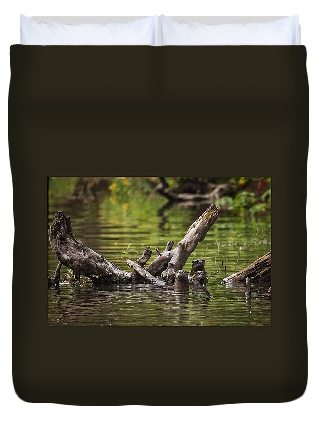Otter Duvet Cover featuring the photograph Otter Family Portrait by Michael Dougherty
