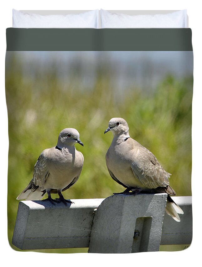 Doves Duvet Cover featuring the photograph Palomas by Maria Nesbit